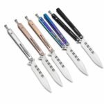 Dream Butterfly Flippermesser